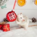 hamster with toy